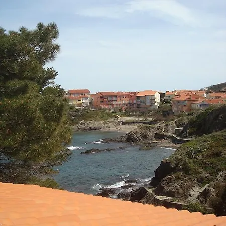 L'arapede Collioure