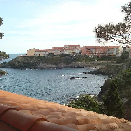 L'arapede Collioure